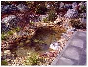 Garten und mehr - Jan Langhanki - GALLERY