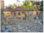 Garten und mehr - Jan Langhanki - GALLERY