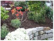 Garten und mehr - Jan Langhanki - GALLERY