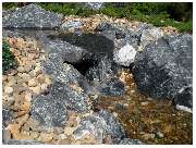 Garten und mehr - Jan Langhanki - GALLERY