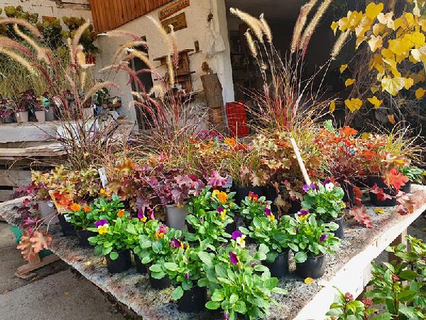 Garten Zeißlhof - GALLERY