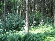 Garten Zwölfer GmbH & Co. KG - GALLERY