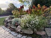 Gartenauftrag.de - GALLERY