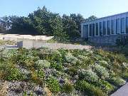 Gartenbau Gerth GmbH - GALLERY