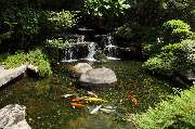 Gartenbau Gies - Gartenbau Gies