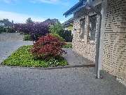 Gartenbau Grüner Bereich - GALLERY