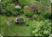 Gartenbau Güldogdu - IMG_6545.jpeg