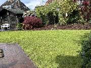 Gartenbau Güldogdu - IMG_7201.jpeg