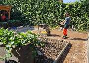 Gartenbau Joschko Wehmann - image0000001.jpg