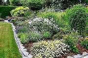 Gartenbau Kurzrock - 1
