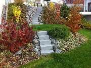 Gartenbau Okur - GALLERY