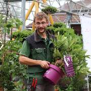 Gartenbaumschule Maiwald - GALLERY