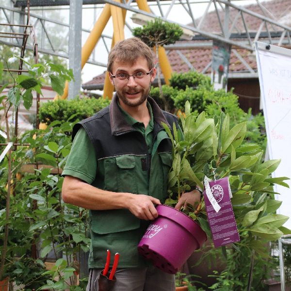 Gartenbaumschule Maiwald - GALLERY