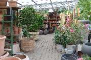 GartenBaumschule Schneider - GALLERY