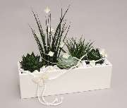 Gartencenter A-Z Velbert GmbH - 10