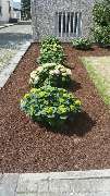 Gartencenter A-Z Velbert GmbH - 14