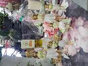 Gartencenter A-Z Velbert GmbH - 21