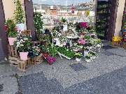 Gartencenter A-Z Velbert GmbH - 22