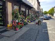 Gartencenter A-Z Velbert GmbH - 23