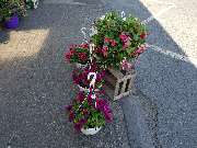 Gartencenter A-Z Velbert GmbH - 25