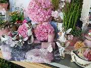 Gartencenter A-Z Velbert GmbH - 27