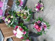 Gartencenter A-Z Velbert GmbH - 29