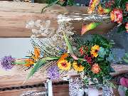 Gartencenter A-Z Velbert GmbH - 30