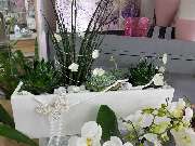 Gartencenter A-Z Velbert GmbH - 32