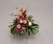 Gartencenter A-Z Velbert GmbH - 8