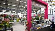 Gartencenter Kemper - GALLERY