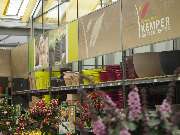 Gartencenter Kemper - GALLERY