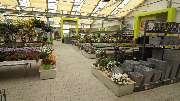 Gartencenter Kemper - GALLERY