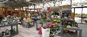 Gartencenter Kemper - GALLERY