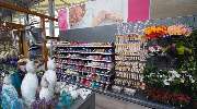 Gartencenter Kemper - GALLERY