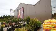 Gartencenter Kemper - GALLERY