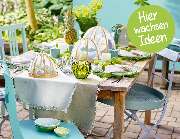 Gartencenter Lüske GmbH - GALLERY