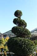 Gartencenter Lüske GmbH - GALLERY