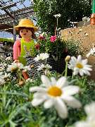 Gartencenter Spiering Wesel - GALLERY