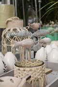 Gartencenter Spiering Wesel - GALLERY