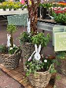 Gartencenter Spiering Wesel - GALLERY