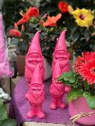 Gartencenter Spiering Wesel - GALLERY