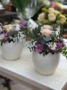 Gartencenter Spiering Wesel - GALLERY