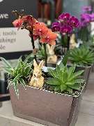 Gartencenter Spiering Wesel - GALLERY