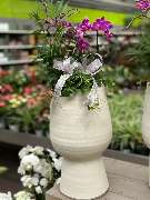 Gartencenter Spiering Wesel - GALLERY