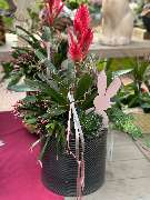 Gartencenter Spiering Wesel - GALLERY