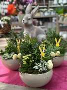 Gartencenter Spiering Wesel - GALLERY