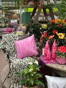 Gartencenter Spiering Wesel - GALLERY