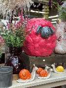 Gartencenter Spiering Wesel - GALLERY