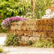 Gartenforum Balz GmbH - GALLERY