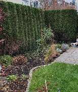 Gartengestaltung - Gartenbau Wimmer GmbH in München - Pflege Heckenschnitt | Gartenbau Wimmer GmbH in München